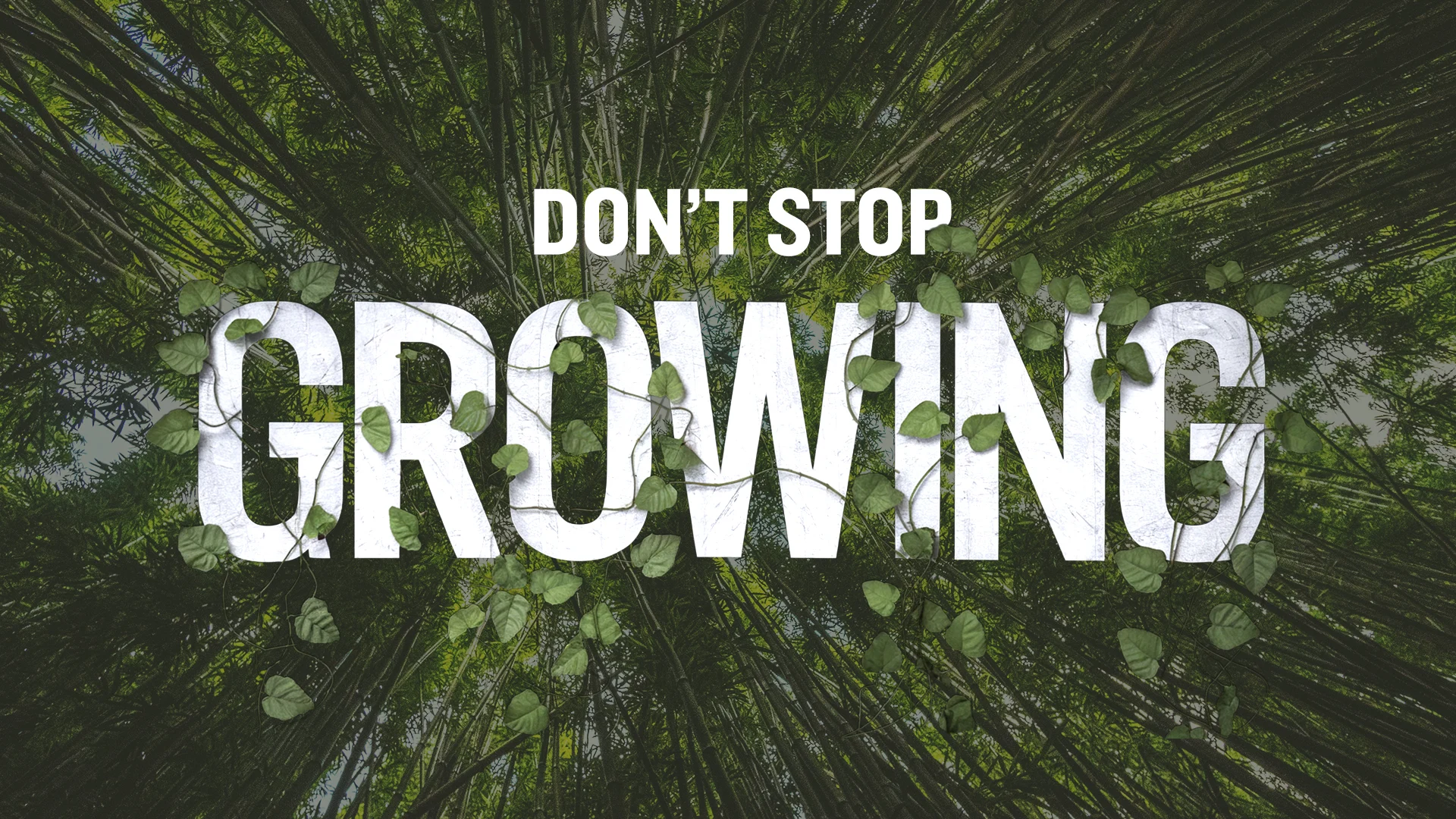 Don’t Stop Growing – June 8 2025